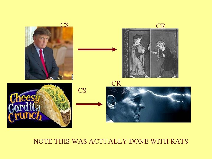 CS CR NOTE THIS WAS ACTUALLY DONE WITH RATS 