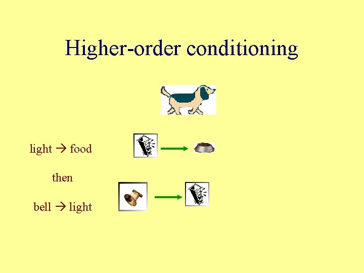 Higher-order conditioning light food then bell light 