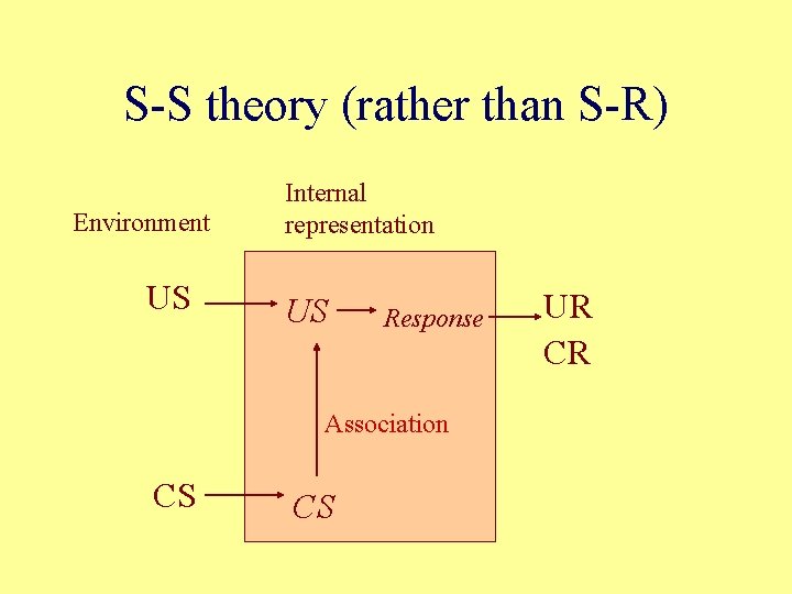 S-S theory (rather than S-R) Environment US Internal representation US Response Association CS CS