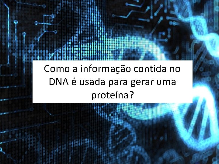 Como a informação contida no DNA é usada para gerar uma proteína? 