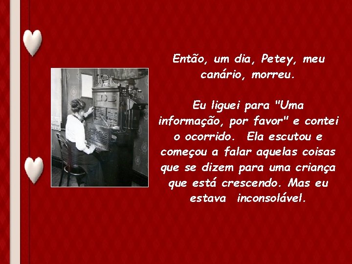 Então, um dia, Petey, meu canário, morreu. Eu liguei para "Uma informação, por favor"