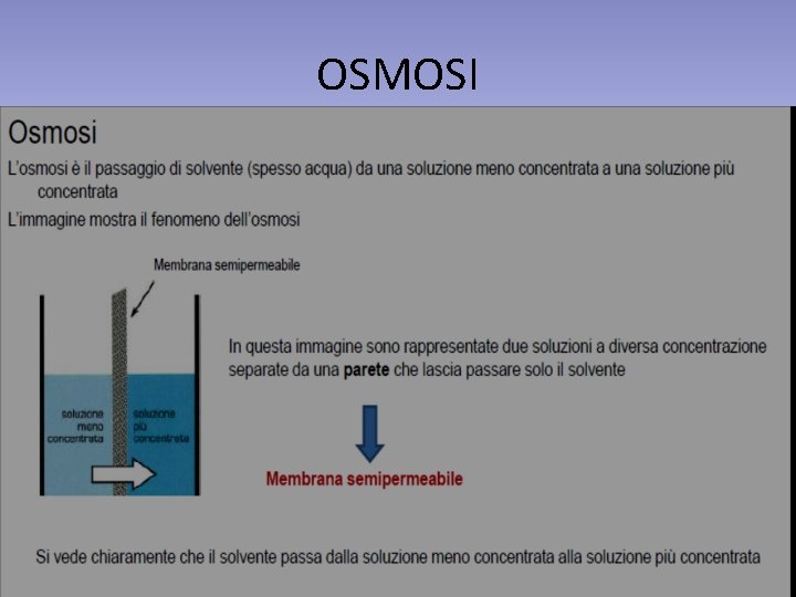 OSMOSI 