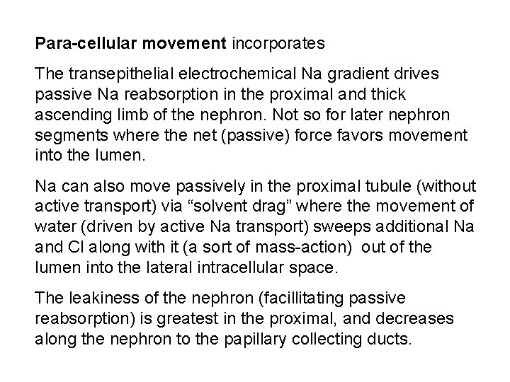 Para-cellular movement incorporates The transepithelial electrochemical Na gradient drives passive Na reabsorption in the