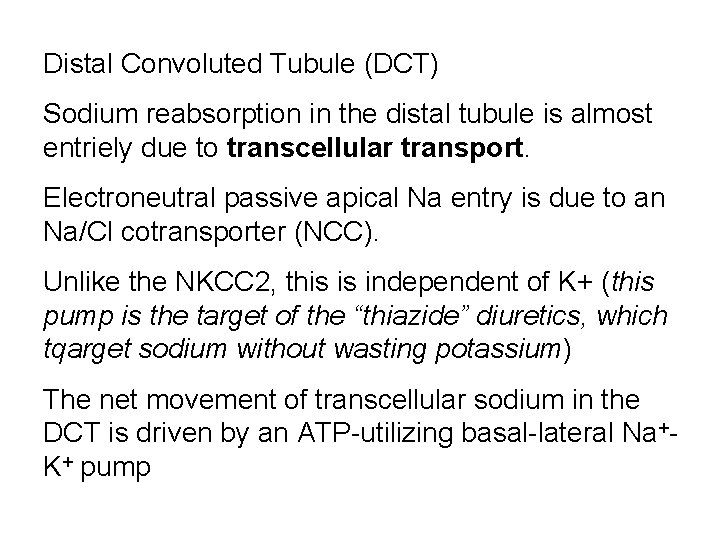 Distal Convoluted Tubule (DCT) Sodium reabsorption in the distal tubule is almost entriely due