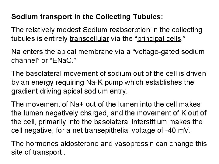 Sodium transport in the Collecting Tubules: The relatively modest Sodium reabsorption in the collecting