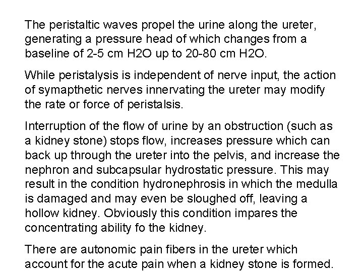 The peristaltic waves propel the urine along the ureter, generating a pressure head of