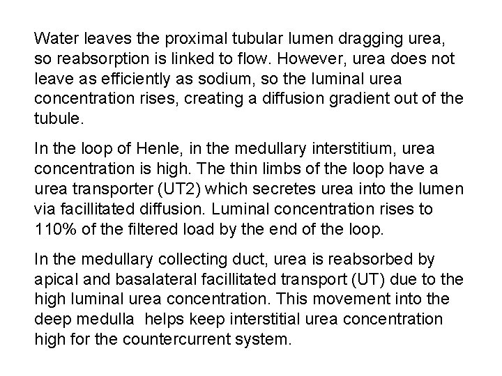 Water leaves the proximal tubular lumen dragging urea, so reabsorption is linked to flow.