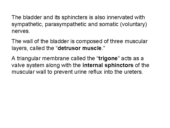 The bladder and its sphincters is also innervated with sympathetic, parasympathetic and somatic (voluntary)
