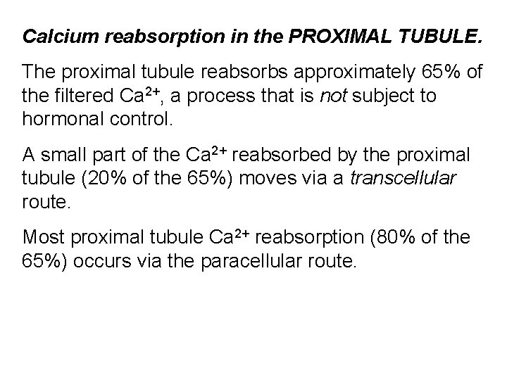 Calcium reabsorption in the PROXIMAL TUBULE. The proximal tubule reabsorbs approximately 65% of the