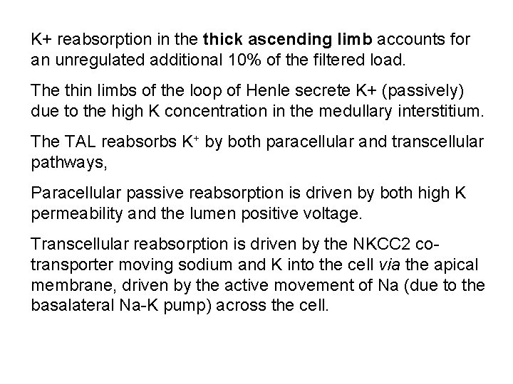 K+ reabsorption in the thick ascending limb accounts for an unregulated additional 10% of