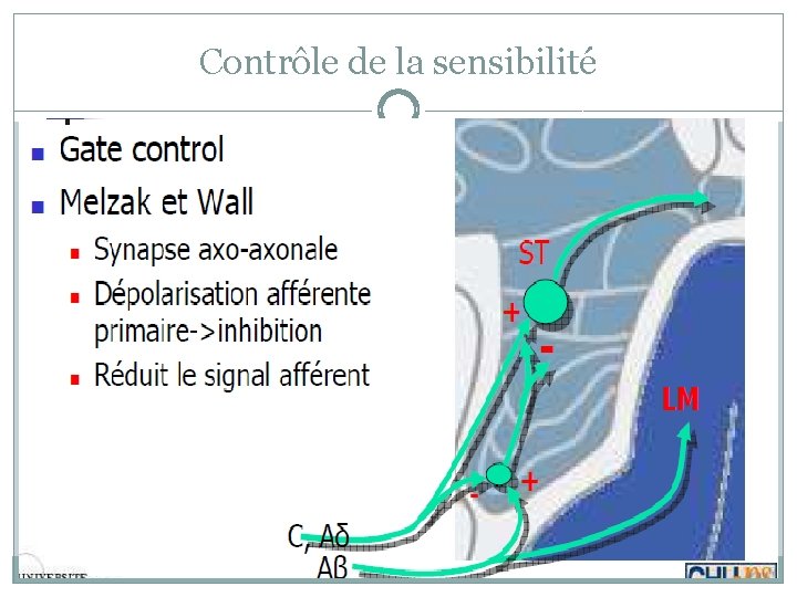 Contrôle de la sensibilité 