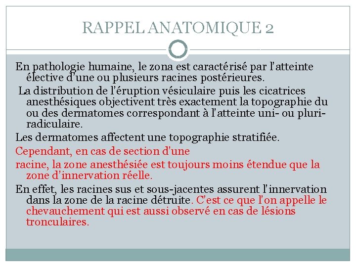 RAPPEL ANATOMIQUE 2 En pathologie humaine, le zona est caractérisé par l’atteinte élective d’une