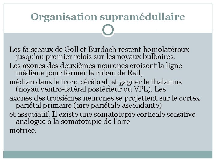 Organisation supramédullaire Les faisceaux de Goll et Burdach restent homolatéraux jusqu’au premier relais sur