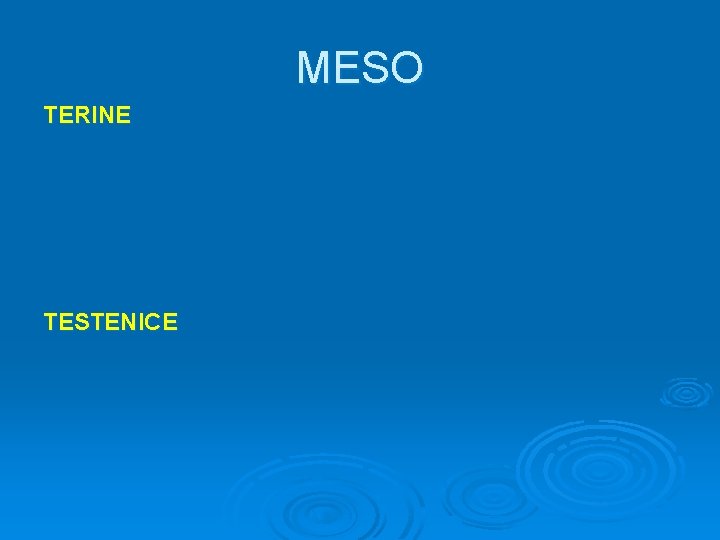 MESO TERINE TESTENICE 