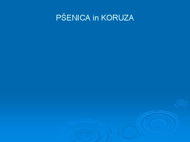 PŠENICA in KORUZA 