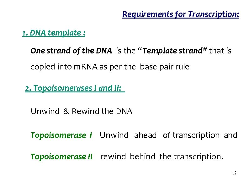 Requirements for Transcription: 1. DNA template : One strand of the DNA is the