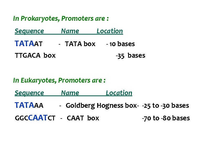 In Prokaryotes, Promoters are : Sequence TATAAT Name Location - TATA box TTGACA box