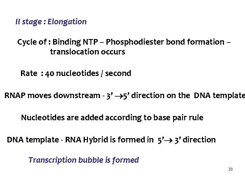 II stage : Elongation Cycle of : Binding NTP – Phosphodiester bond formation –