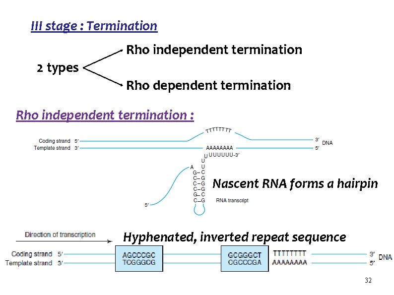 III stage : Termination Rho independent termination 2 types Rho dependent termination Rho independent