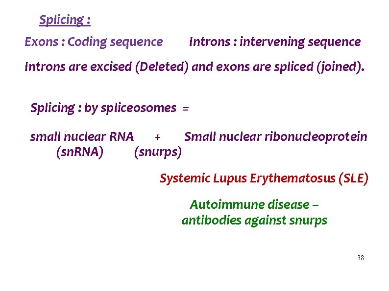 Splicing : Exons : Coding sequence Introns : intervening sequence Introns are excised (Deleted)