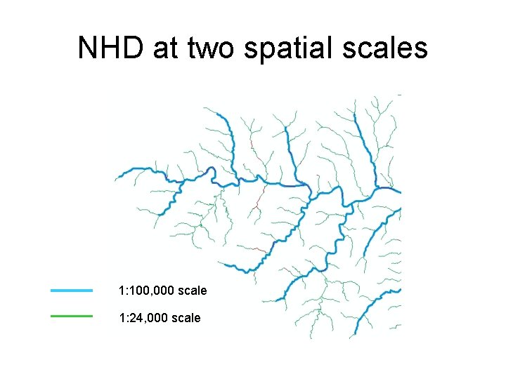 NHD at two spatial scales 1: 100, 000 scale 1: 24, 000 scale 