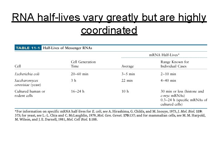 RNA half-lives vary greatly but are highly coordinated 