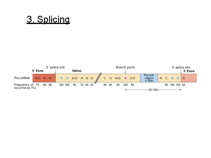 3. Splicing 