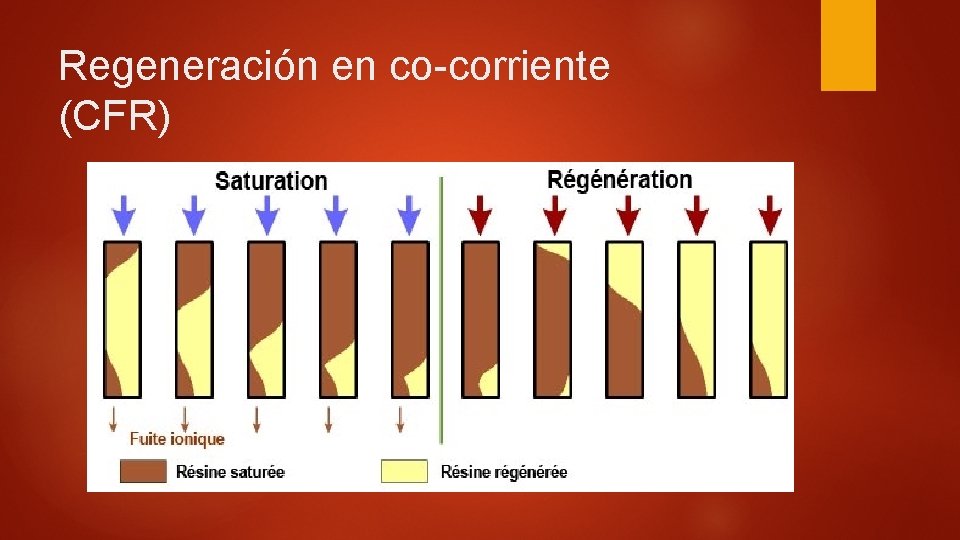 Regeneración en co-corriente (CFR) 