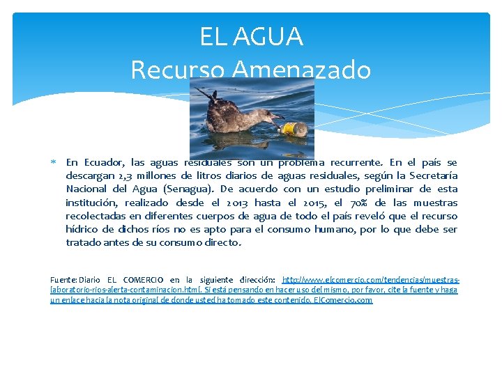 EL AGUA Recurso Amenazado En Ecuador, las aguas residuales son un problema recurrente. En