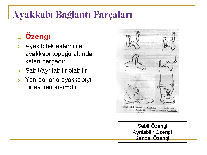 Ayakkabı Bağlantı Parçaları q Ø Ø Ø Özengi Ayak bilek eklemi ile ayakkabı topuğu