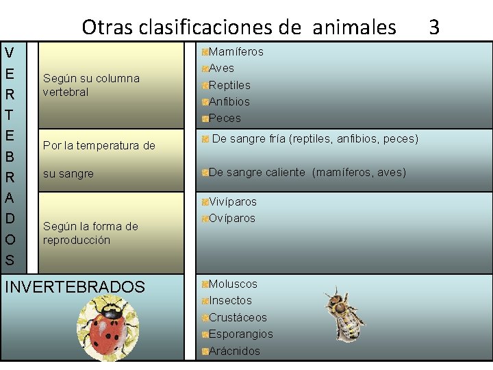 Otras clasificaciones de animales 3 V E R T E B R A D