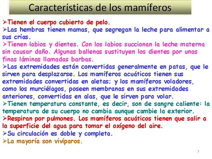 Características de los mamíferos ØTienen el cuerpo cubierto de pelo. ØLas hembras tienen mamas,