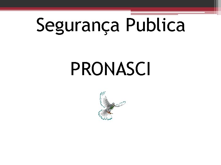 Segurança Publica PRONASCI 