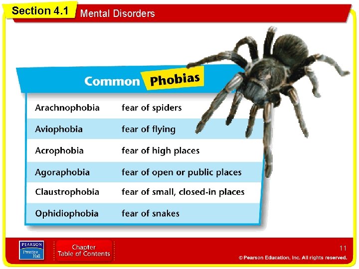 Section 4. 1 Mental Disorders 11 