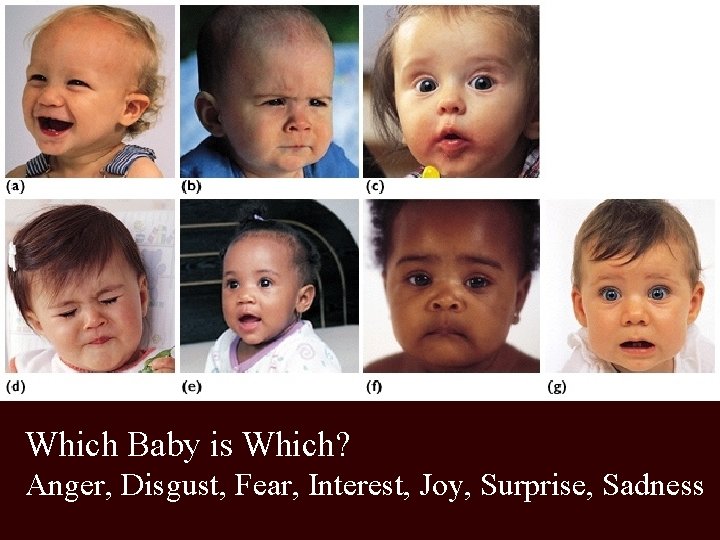 Which Baby is Which? Anger, Disgust, Fear, Interest, Joy, Surprise, Sadness 