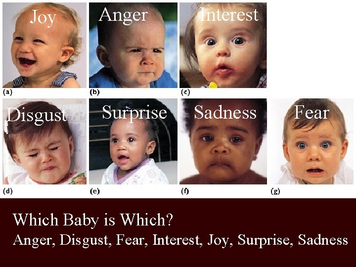 Joy Disgust Anger Interest Surprise Sadness Fear Which Baby is Which? Anger, Disgust, Fear,