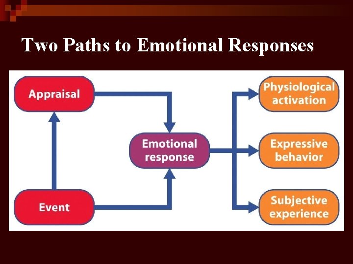 Two Paths to Emotional Responses 