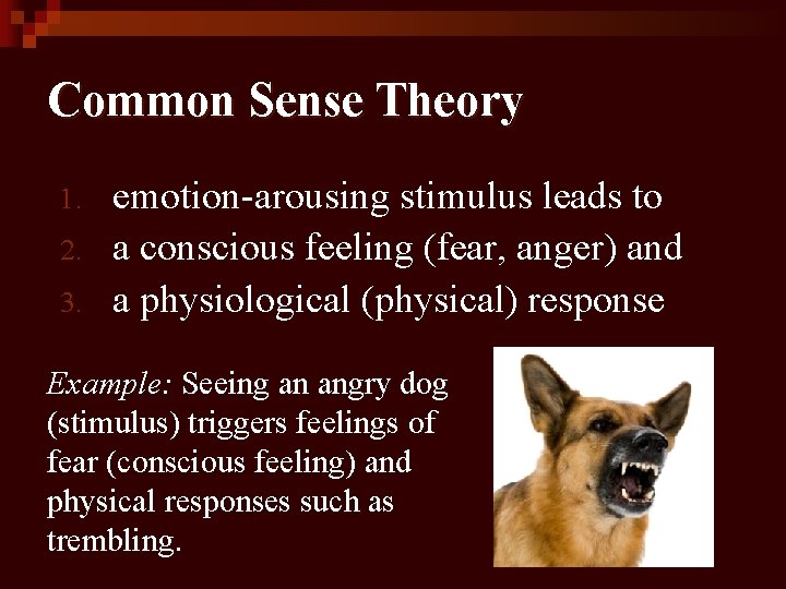 Common Sense Theory 1. 2. 3. emotion-arousing stimulus leads to a conscious feeling (fear,