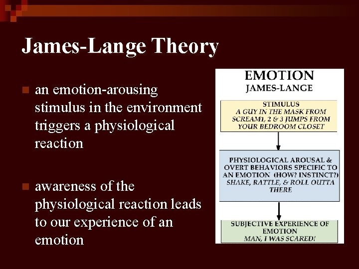 James-Lange Theory n an emotion-arousing stimulus in the environment triggers a physiological reaction n