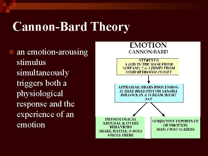 Cannon-Bard Theory n an emotion-arousing stimulus simultaneously triggers both a physiological response and the