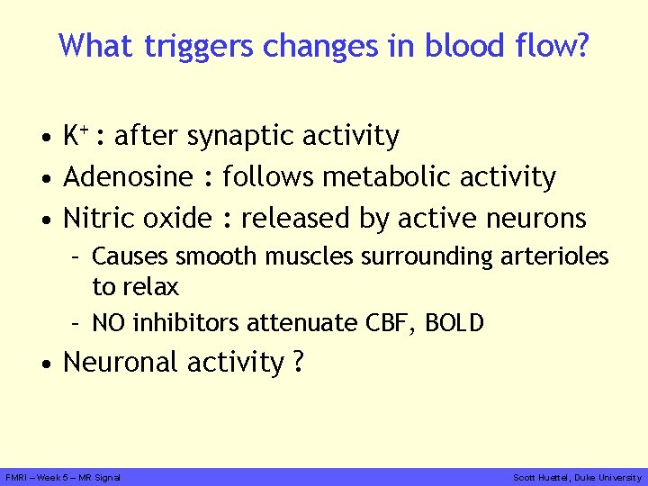 What triggers changes in blood flow? • K+ : after synaptic activity • Adenosine