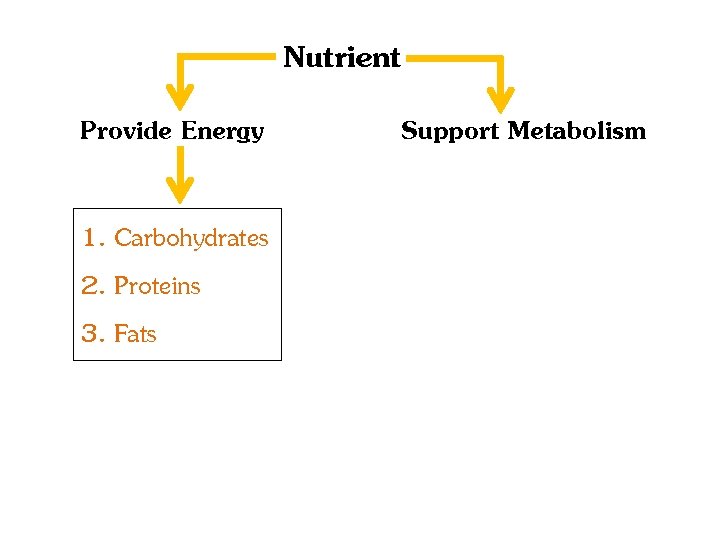 Nutrient Provide Energy 1. Carbohydrates 2. Proteins 3. Fats Support Metabolism 