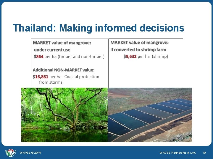 Thailand: Making informed decisions WAVES © 2014 WAVES Partnership in LAC 19 
