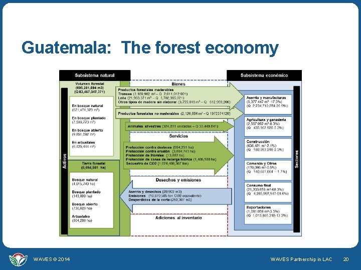 Guatemala: The forest economy WAVES © 2014 WAVES Partnership in LAC 20 