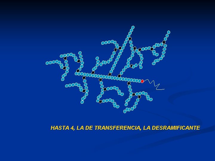 HASTA 4, LA DE TRANSFERENCIA, LA DESRAMIFICANTE 
