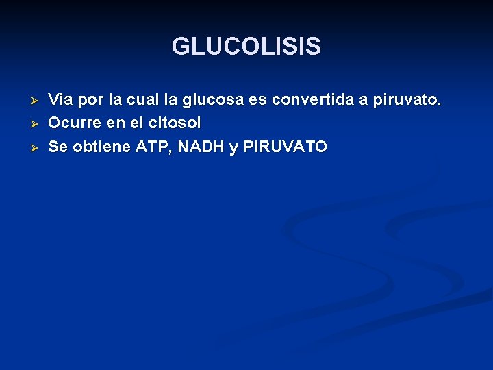 GLUCOLISIS Ø Ø Ø Via por la cual la glucosa es convertida a piruvato.