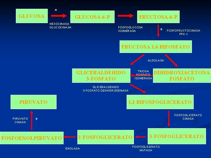 GLUCOSA * GLUCOSA-6 -P HEXOCINASA GLUCOCINASA FRUCTOSA-6 -P FOSFOGLUCOSA ISOMERASA * FOSFOFRUCTOCINASA PFK-1 FRUCTOSA