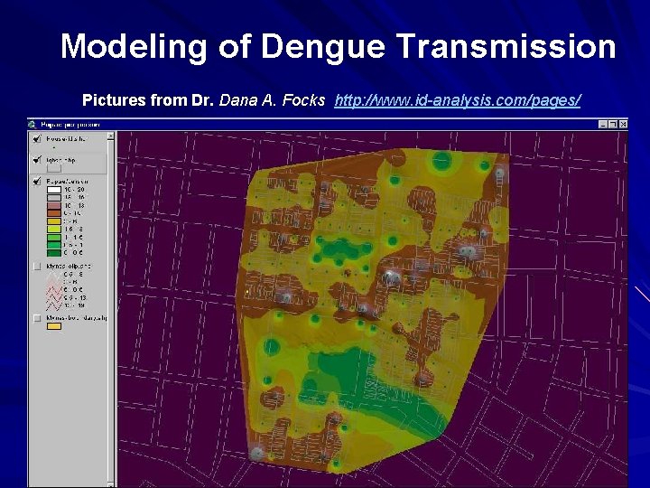 Modeling of Dengue Transmission Pictures from Dr. Dana A. Focks http: //www. id-analysis. com/pages/