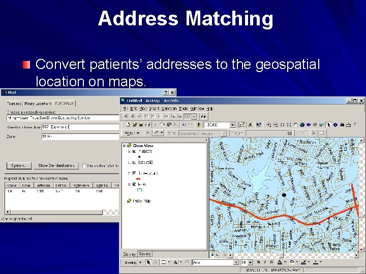 Address Matching Convert patients’ addresses to the geospatial location on maps. 