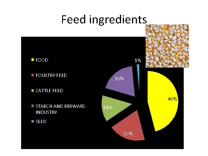 Feed ingredients FOOD 1% POULTRY FEED 19% CATTLE FEED 46% STARCH AND BREWARS INDUSTRY